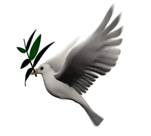 dove_with_olive_branch