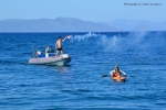Aggelos Christoforidis reached Kos with kayak for the campaign titled “Thousand Miles”